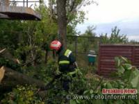 На Кіровоградщині двічі розпилювали та прибирали аварійні дерева
