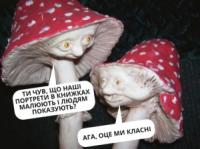 Шестеро жителів Кіровоградщини постраждали внаслідок отруєння грибами