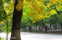 Який вигляд має золота осінь у Кропивницькому