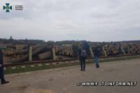 На Кіровоградщині відбувався нелегальний експорт високоякісної деревини