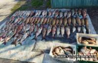 На Кіровоградщині вилучено більш ніж півтони незаконно виловленої риби