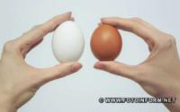 Обираємо якісні яйця: корисні підказки