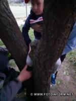 У Кропивницькому хлопчик заліз на дерево та його нога застрягла між гілками,  довелося викликати рятувальників