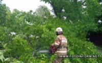 На Кіровоградщині рятувальники розпилювали та прибирали аварійні дерева