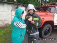 На Кіровоградщині рятувальники визволили двох котів із небезпечних ситуацій