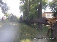 Рятувальники Кіровоградщини кілька разів усували перешкоди,  що створювали аварійні дерева