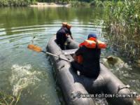 У Кропивницькому рятувальники з річки витягнули собаку