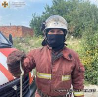 Світловодськ: рятувальники вилучили плазуна з приватного домоволодіння