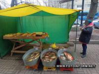 У Кропивницькому в центрі міста продавали рибу невідомого походження