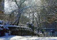 Сніг прикрасив вулиці Кропивницького