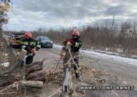 На Кіровоградщині прибирають аварійні дерева