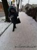 Сильні морози та хуртовини: у Кропивницькому очікується погіршення погоди (ВІДЕО)