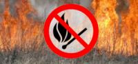 На Кіровоградщині 24 людини підозрюють у самовільному спалюванні сухостою