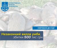 Браконьєрство на Світловодщині: незаконний вилов риби зі збитками у пів мільйона