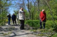 Кіровоградщина: на території заповідника висадили квіти та алею дерев