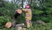 На Кіровоградщині рятувальники надають допомогу по усуненню наслідків негоди