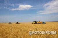 На Кіровоградщині аграрії збирають ранні зернові