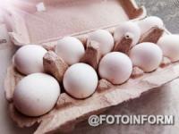 У Кропивницькому дорожчають курячі яйця