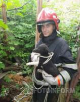 Кіровоградщина: на допомогу тваринам прийшли рятувальники