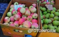 Скільки коштують яблука у Кропивницькому