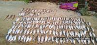 На Кіровоградщині виявили браконьєра,  який в брід ловив рибу сіткою