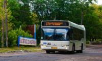У Кропивницькому скасували тимчасовий тролейбусний маршрут