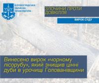 На Кіровоградщині суд постановив обвинувальний вирок у справі «чорного лісоруба»