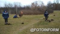 На Кіровоградщині комунальники висадили 30 молодих дубів