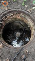 На Кіровоградщині рятувальники дістали собаку з каналізаційного люку
