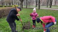 У Кропивницькому на території аграрного коледжу висадили молоді деревця