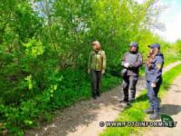 На Кіровоградщині лісівники проводять рейди