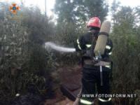 На Кіровоградщині виникло дев' ять пожеж сухостою