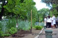У Кропивницькому висадили дерева у пам' ять про медикиню Наталію Яцун