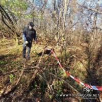 На Кіровоградщині в лісовому масиві знайшли протитанкову міну