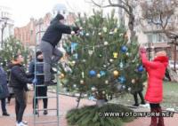 12 різдвяних дерев прикрасили у Кропивницькому
