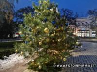 Різдвяні дерева засвітилися у Кропивницькому