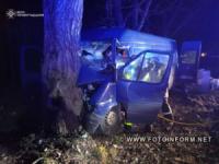 На Кіровоградщині автівка врізалася в дерево
