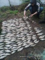 На Кіровоградщині чоловік наловив риби майже на 282 тис грн