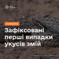 На Львівщині змії покусали людей
