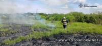 На Кіровоградщині під час гасіння пожежі очерету виявили тіло загиблого чоловіка