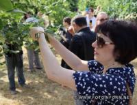 Пам’ять дітей,  які загинули внаслідок російської агресії вшанували у Кропивницькому