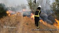 На Кіровоградщині виникло майже тридцять пожеж