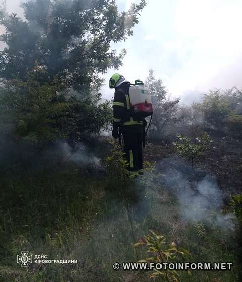Пожежі на Кіровоградщині: горів сухостій та сміття