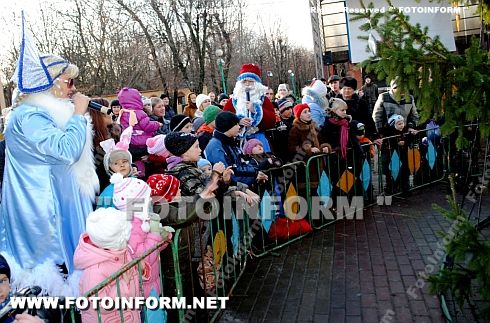 В Дендропарке открылась Новогодняя елка (ФОТО)