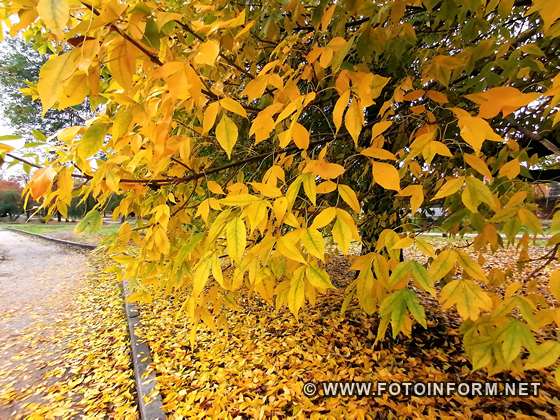 Осінь у Кропивницькому (ФОТО)