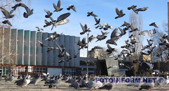 Як виглядає Кропивницький в перший день нового року (ФОТО)