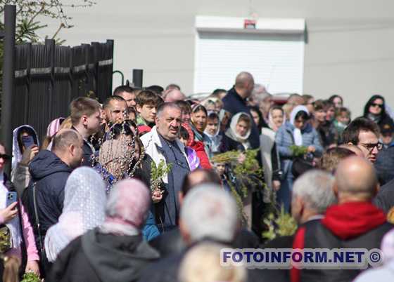 У Кропивницькому в храма міста освячували вербу (ФОТО)