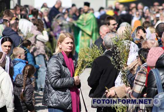 У Кропивницькому в храма міста освячували вербу (ФОТО)