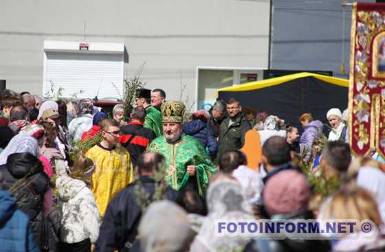 У Кропивницькому в храма міста освячували вербу (ФОТО)