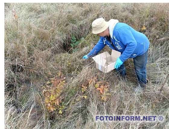 На Кіровоградщині завершили імунізацію диких тварин від сказу (ФОТО)